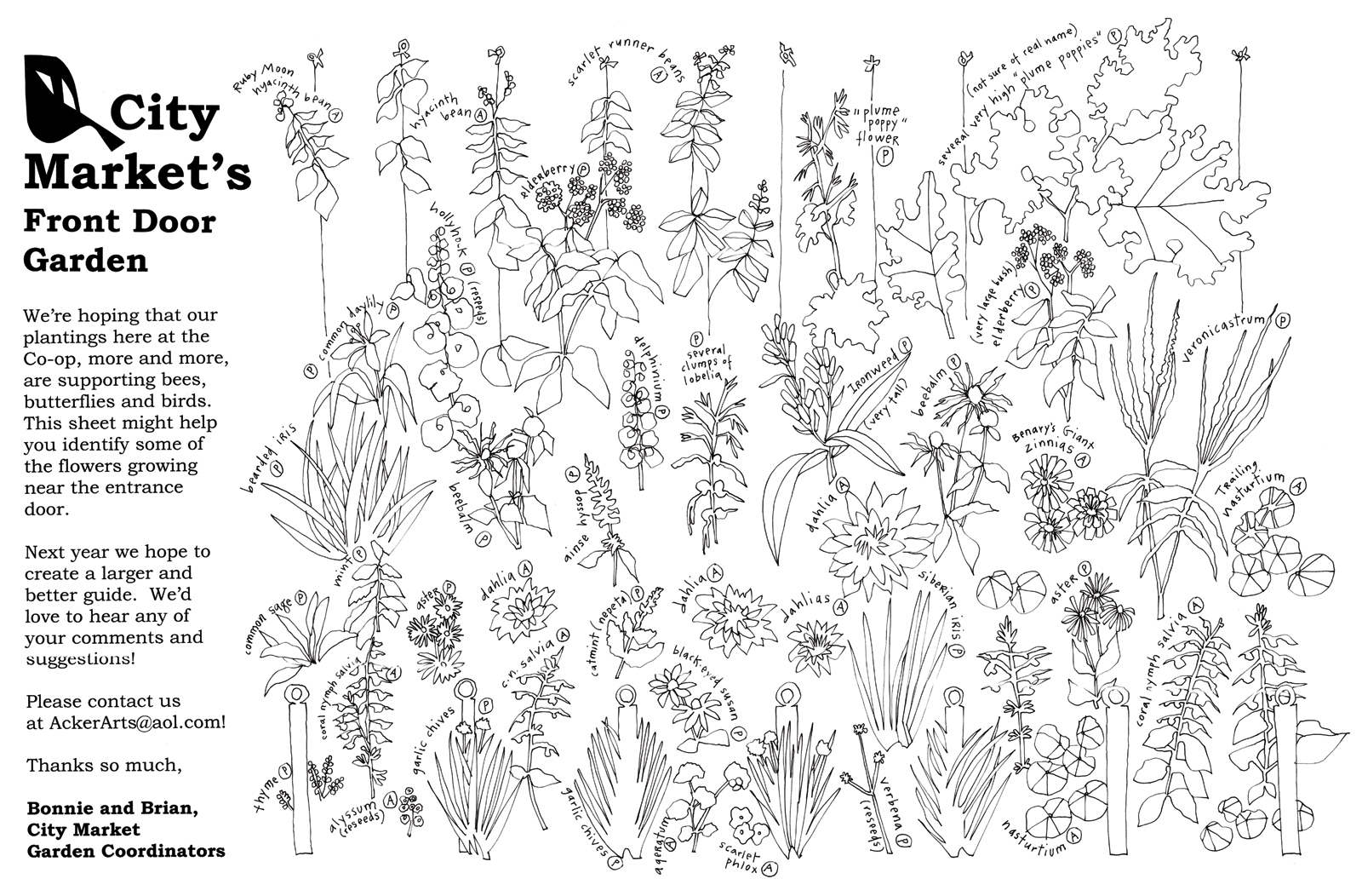 Garden Drawing