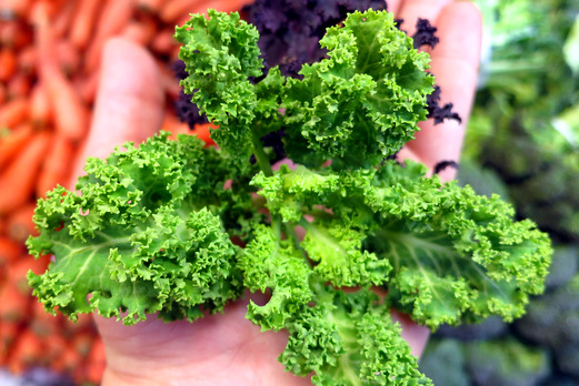 Baby kale