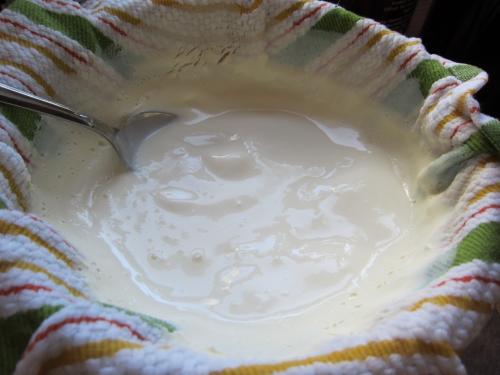 Milk/Yogurt