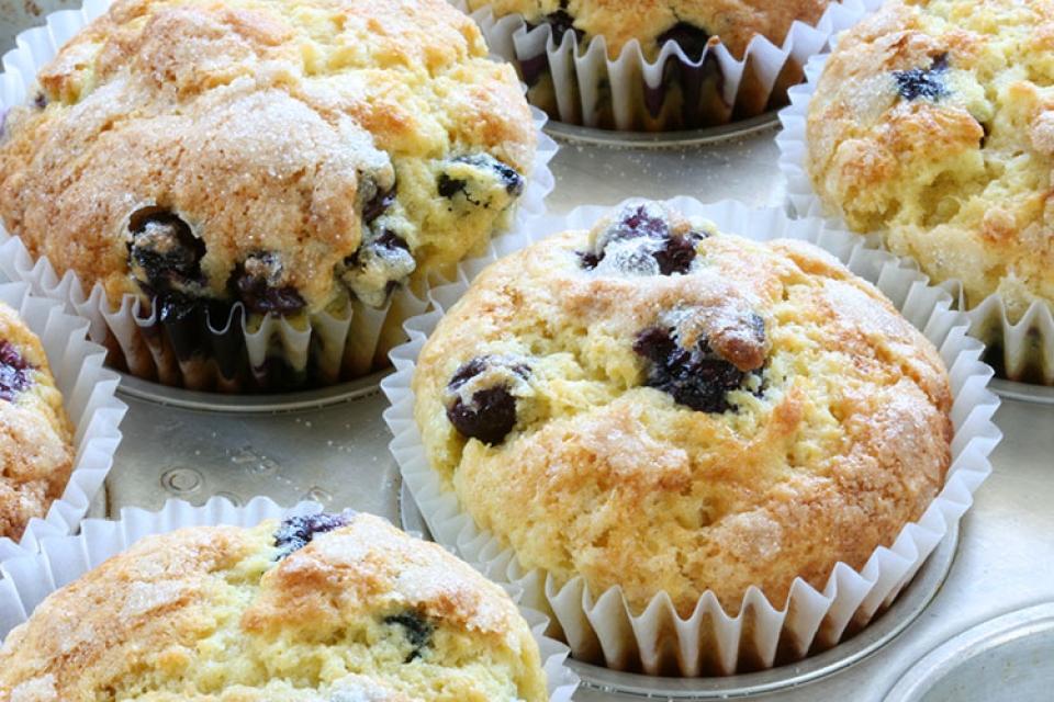 Blueberry Muffins (Flickr: Steven Jackson)