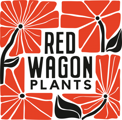 A square split into quarters, each holding one red square flower. At the center in black all-caps lettering are the words "Red Wagon Plants."