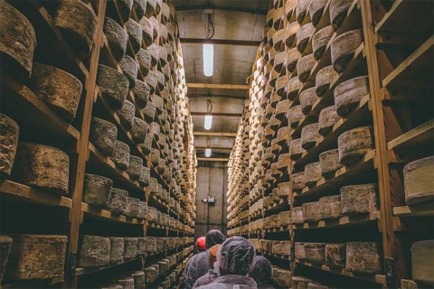 a section of cheese caves filled with shelves of cheese wheels