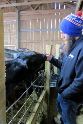 Nick bonding with cows