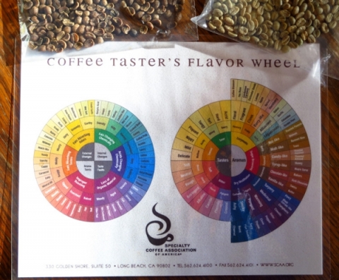 Coffee Tasting Guide