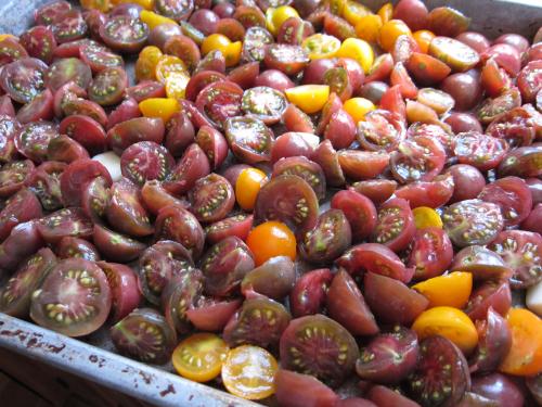 Tomatoes
