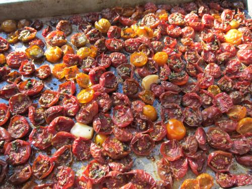 Tomatoes
