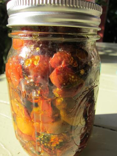 Stored Tomatoes