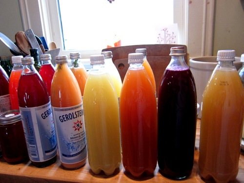 Homemade Sodas