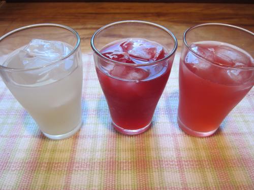 Homemade Sodas