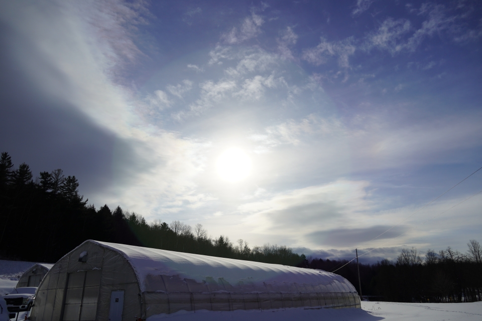 A greenhouse is covered in snow. It sits in front of a treeline. Above the treeline, the sun casts a bright halo in a bright blue sky dusted with white wispy clouds.