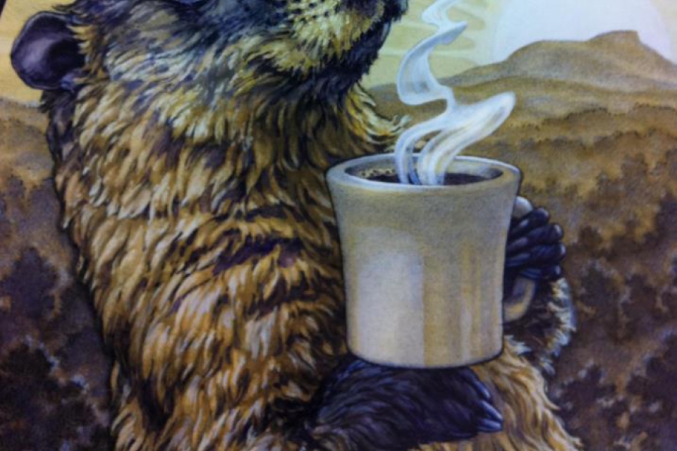 How Much Coffee Would a Woodchuck Roast?