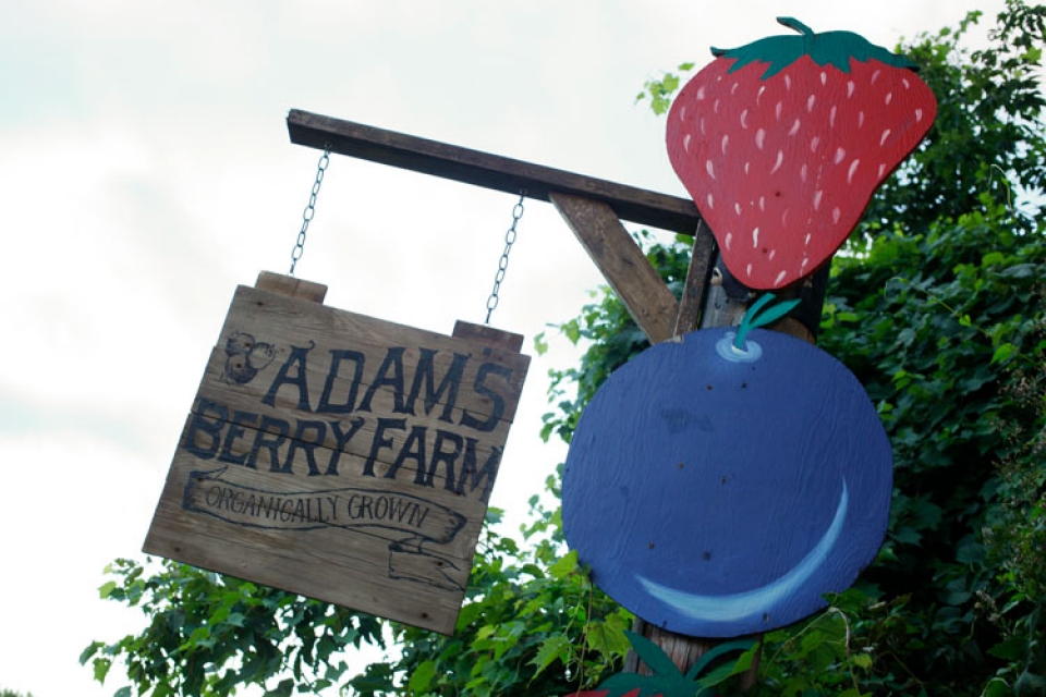 Adam's Berry Farm, Local Producer