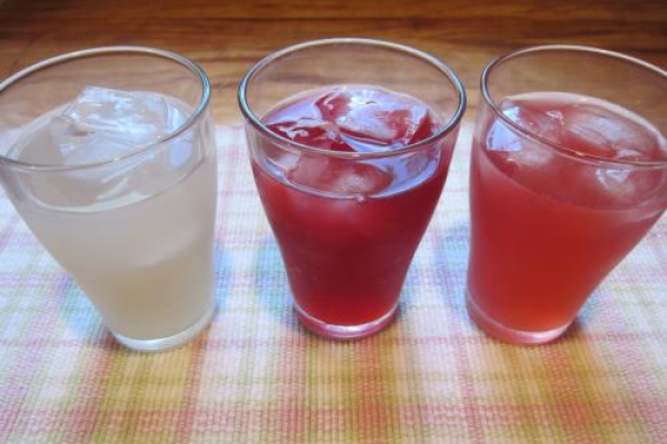 Lacto Fermented Sodas