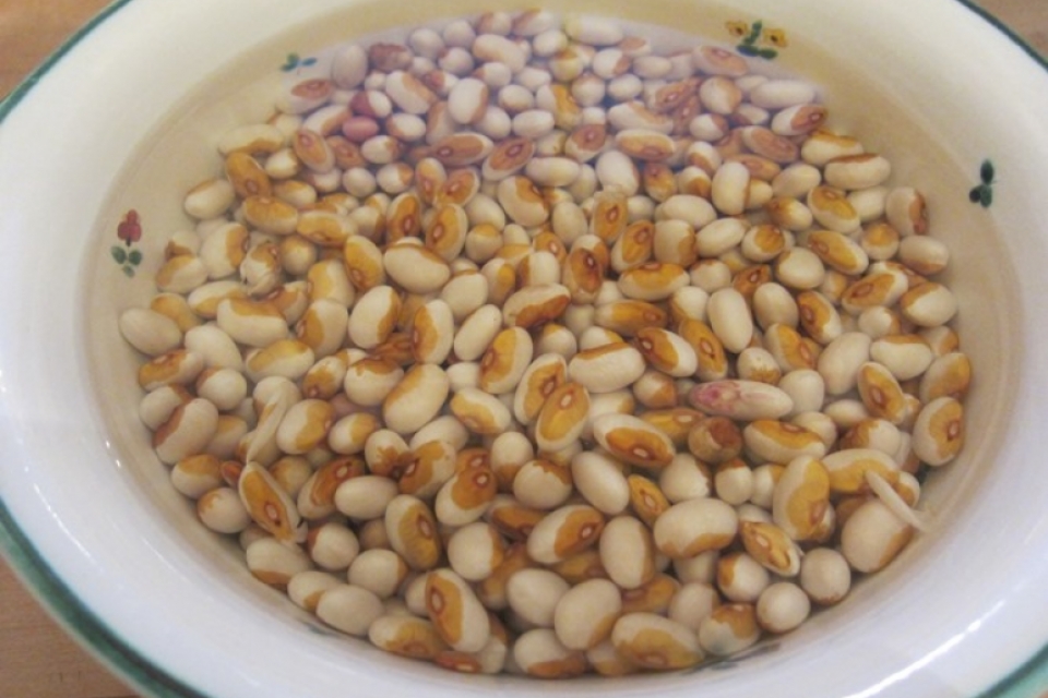 Swelling Beans