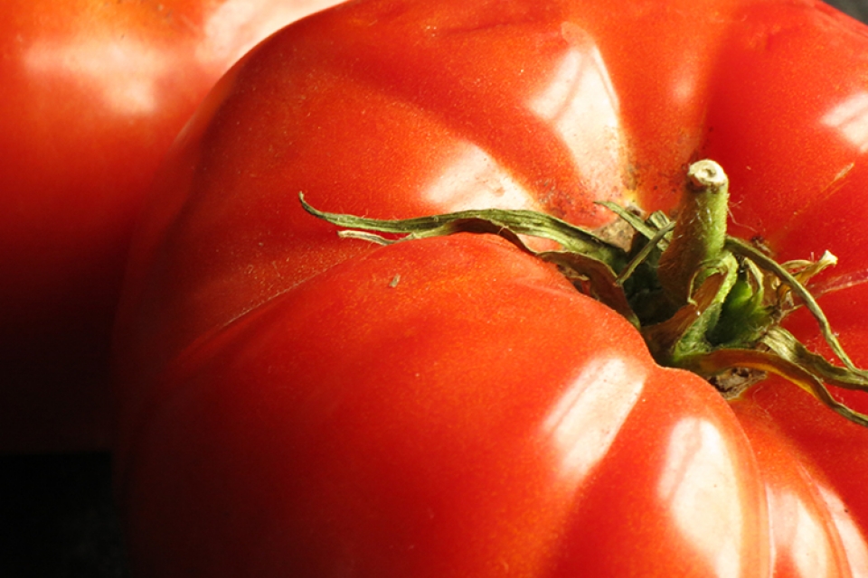 Local Tomatoes