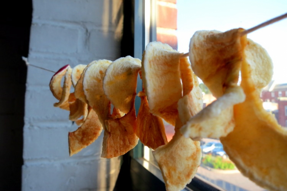 Dried Apple Rings