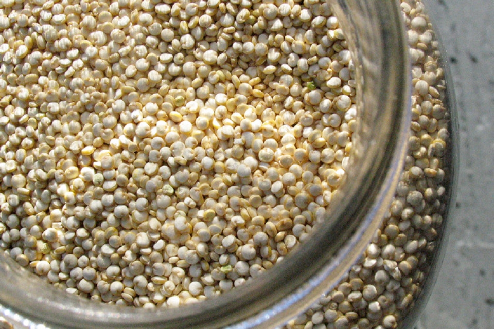 Quinoa via Flickr: nerissa's ring