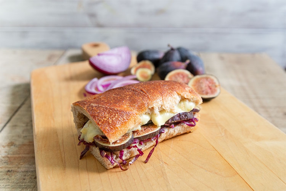 Fig and Onion Panini