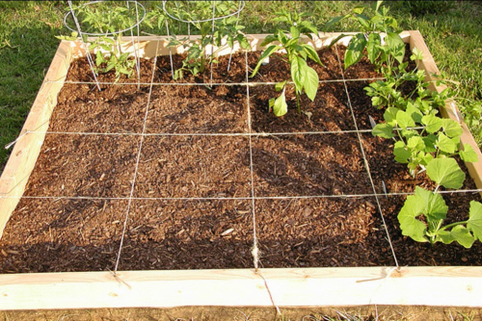 Square Foot Gardening