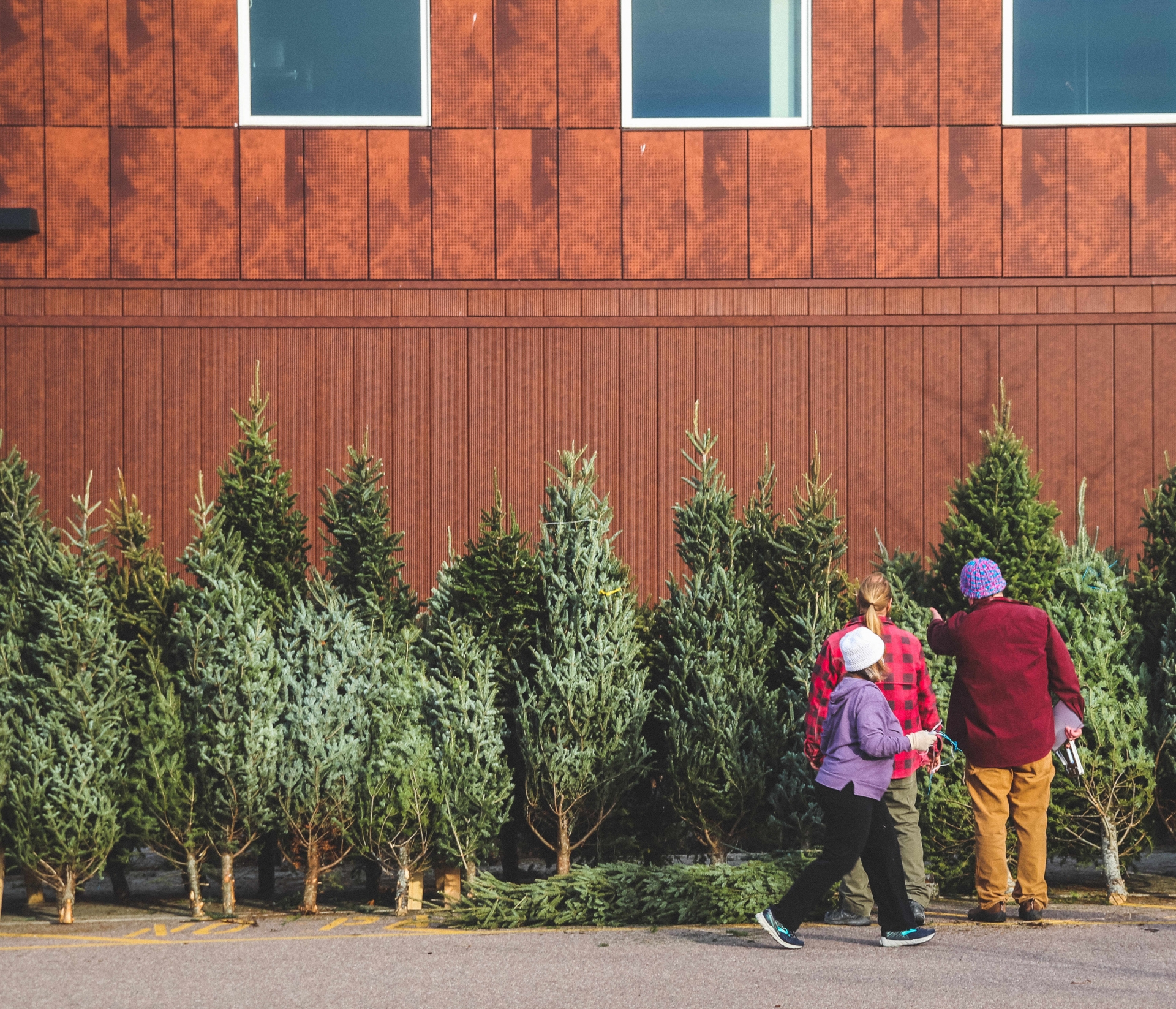 Holiday trees for sale outside South End City Market