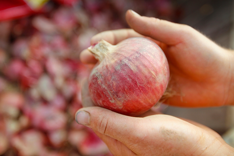 Red Onions