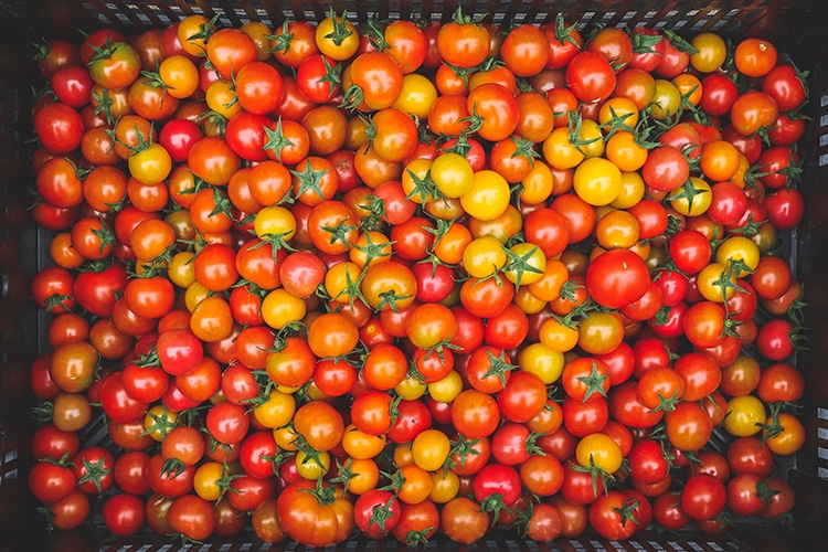 Local Tomatoes