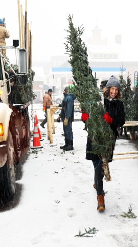 Person wearing a grey hat, black jacket and red mittens is carrying a tree on the right side of the image. To the left is a truck holding trees and people waiting to unload more trees. 