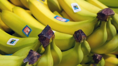 Bunches of bananas stacked on top of one another. 