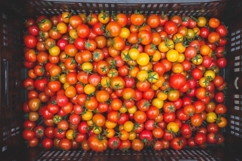 A top-down view of a black shopping basket full of ripe, shiny cherry tomatoes, in a mix of reds, oranges and yellows.
