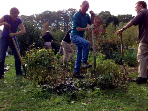 Six people at work in a garden. They all wear gardening gloves and have long-handled shovels. At center, a light-haired woman in a teal turtleneck and jeans drives her shovel into the garden bed with one foot. 