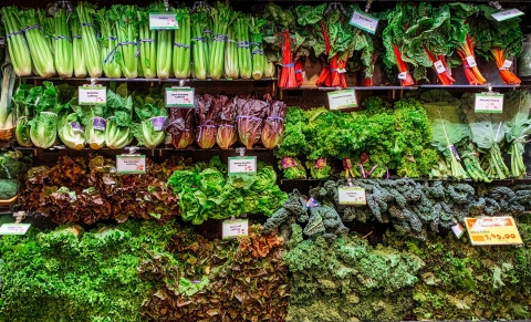 A display of four rows of varied leafy green vegetables.