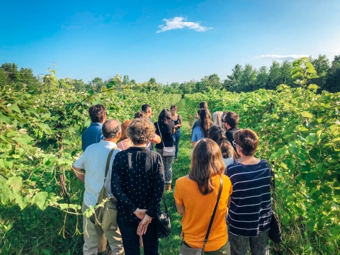 A group of people gathered in a lush green vineyard. The people in the foreground have their backs to the camera. From left to right, they are wearing a white buttoned down shirt, a black sweater, a goldenrod long sleeved shirt, and a striped long sleeved shirt. The person farthest in the background is facing the camera and wearing a black tank top and jeans. Above them, the sky is bright blue with one wispy white cloud in the center.