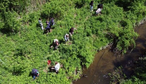 A view from above of ten people working together to plant trees in a green field.