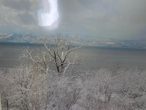 A photograph of a winter landscape. At center left, a tall, snow-covered tree with multiple trunks dominates the scene. The foreground features smaller snowy trees. Behind the trees, there is a lake with dark gray water. Across the lake, snow-dusted mountains rise into a blue and white sky.