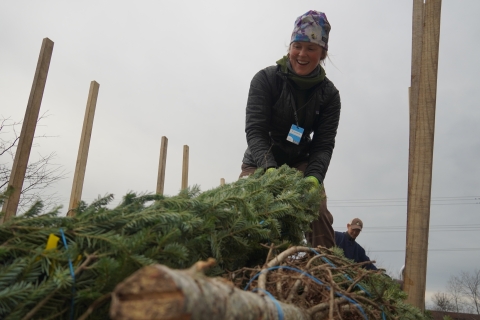 Lauren is helping lift a tree off the truck! Shes smiling and looking off away from the camera! 