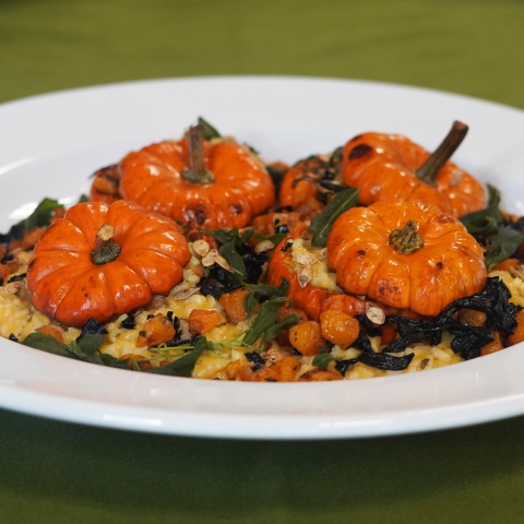 a close up of a plate. 4 pumpkins are overflowing with squash, risotto, mushrooms, and sage