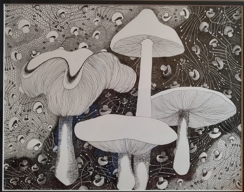  A drawing in black and white. There are four mushrooms with stems and bulbs of various sizes at the forefront. From the top left corner stretching towards the top right and bottom left in the other direction, is a white background with stem-like lines and smaller mushrooms scattered. The bottom right corner has the same design. In the middle of the drawing is a black background with more stems and mushrooms floating behind the ones at the forefront of the image.