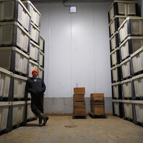 Justin Rich stands in a work barn with large potato tubs stacked high beside him. He is wearing a dark coat and a bright orange winter hat.