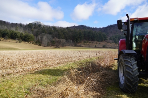 A glowing golden field nestled in a valley. To the right, there is a red tractor partially in frame.