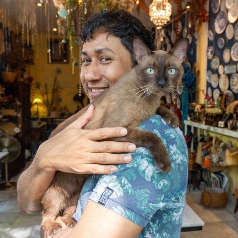 A man with dark hair wearing a blue floral shirt holding a brown cat. In the background is a store with plates hanging from the walls and lights from the ceilings. 