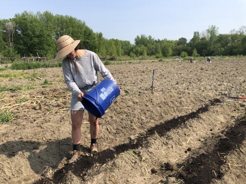 a woman helping in the field on a farm