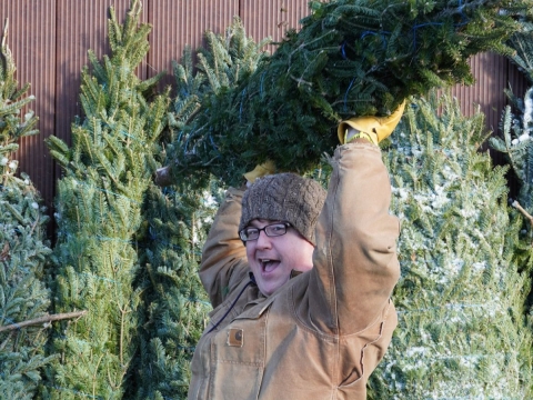 A man holds up a pine tree standing in front of a row of pine trees