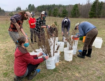 Group of volunteers planting trees at North Branch Nature Center, Montpelier