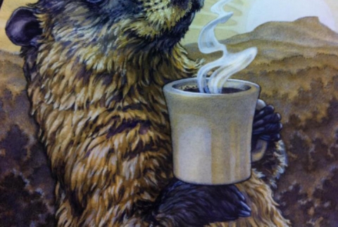 How Much Coffee Would a Woodchuck Roast?