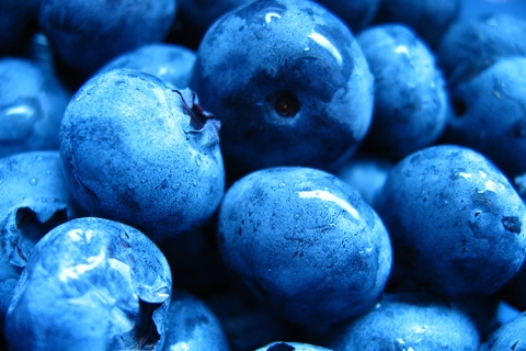 Blueberries