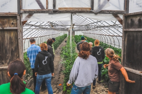 Greenhouses at Jericho Settlers Farm