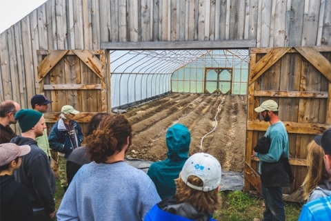 Ginger Greenhouse at Last Resort Farm