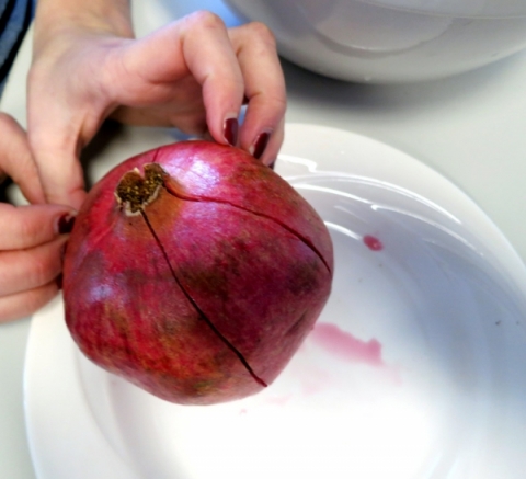 Quartered Pomegranate