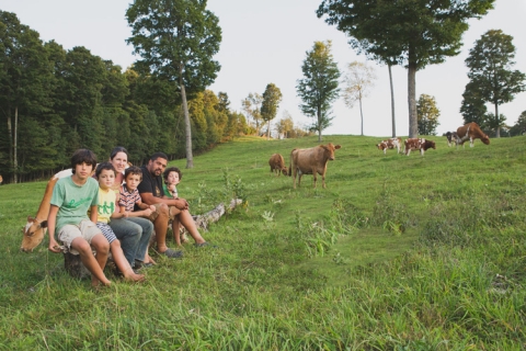 Strafford Creamery