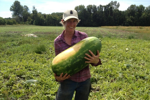 Digger's Watermelon